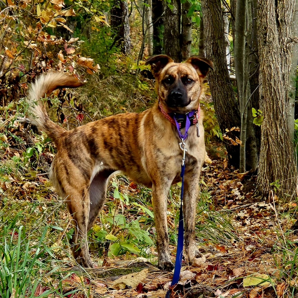 Meet your Posher, Debra